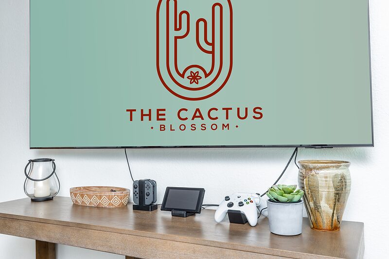 Console table with Nintendo Switch and Xbox controllers below the TV