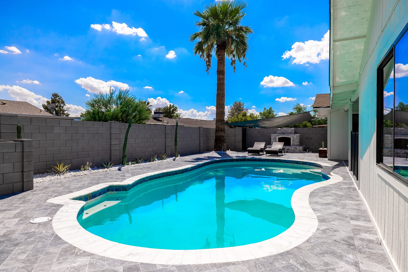 Kidney shaped heated pool with a palm tree and block wall behind it
